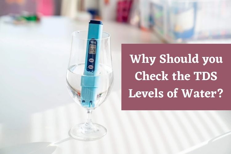 Why Should you Check the TDS Levels of Water